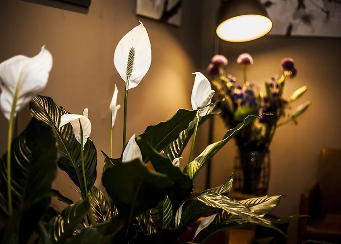 Relaxed Appartement *